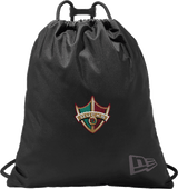Delaware Ducks New Era Game Day Cinch